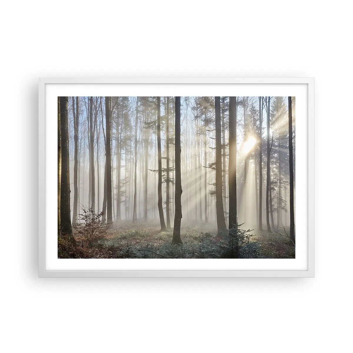 Poster in white frmae - Fog Has Woken up Too - 70x50 cm