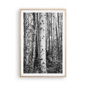 Poster in light oak frame - Birch Colonnade - 61x91 cm