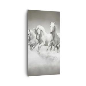 Canvas picture - White Madness - 65x120 cm