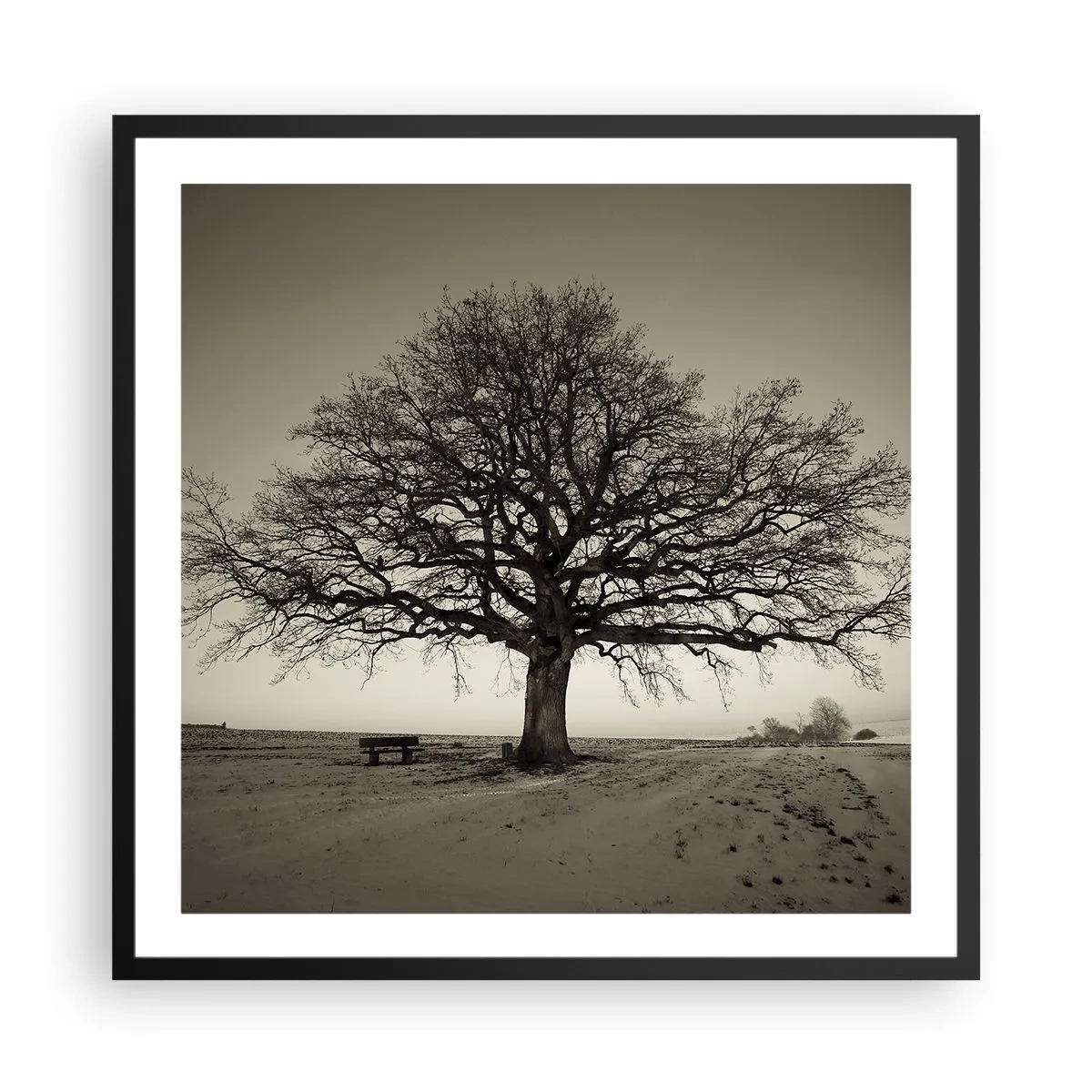 Poster in black frame - From Here to Eternity - 60x60 cm