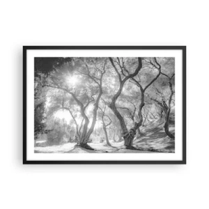 Poster in black frame - In an Olive Grove - 70x50 cm