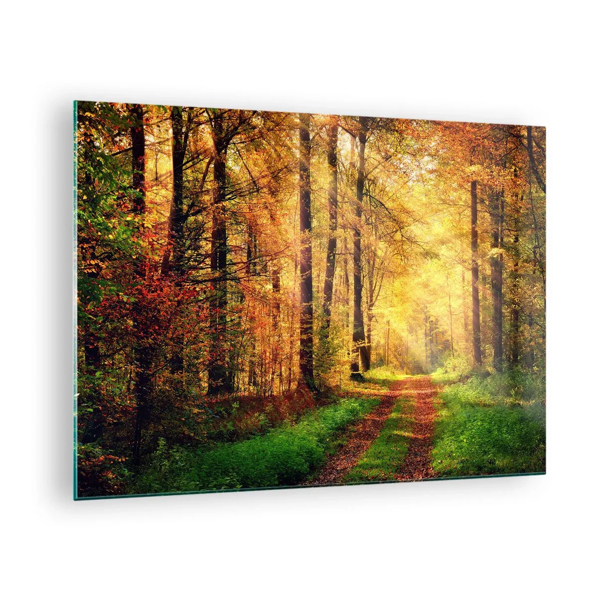 Glass picture - Autumn path in the forest with sun rays - 70x50cm - Forest Golden silence - Modern wall decoration for the living room and bedroom ARTTOR
