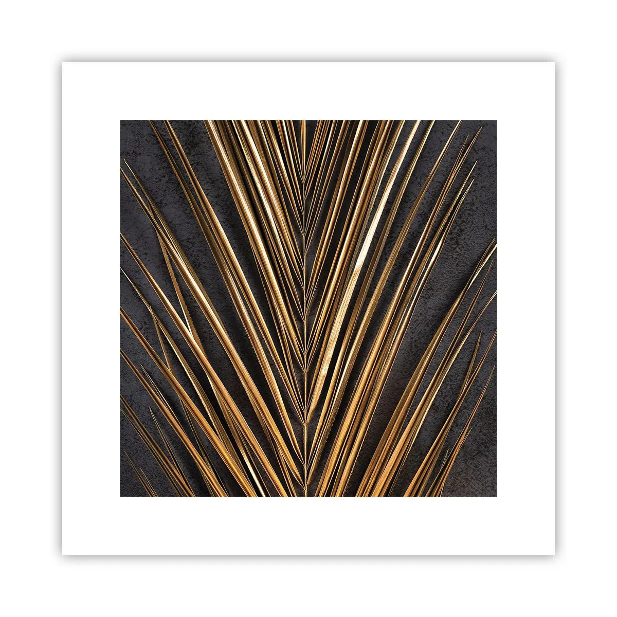 Poster - Gold of the Tropics - 30x30 cm