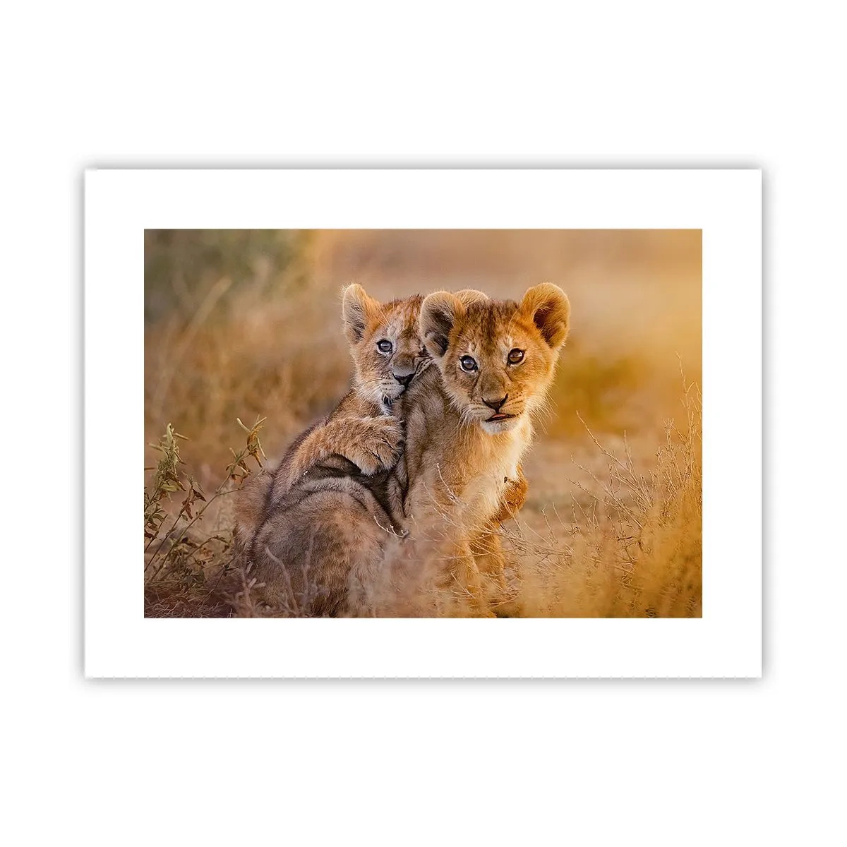 Poster - Do Not Disturb! We Are Playing - 40x30 cm