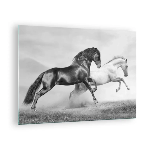 Glass picture - Black and white horses in a dynamic setting - 70x50cm - Angels and Demons - Modern wall decoration for the living room and bedroom ARTTOR