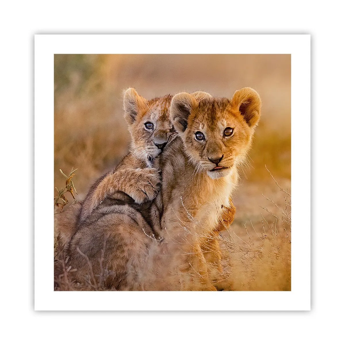 Poster - Do Not Disturb! We Are Playing - 50x50 cm