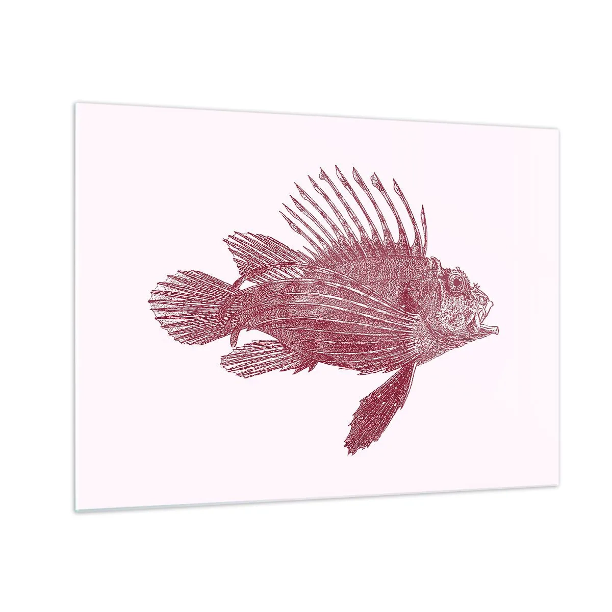 Glass picture - Sketch of an exotic fish in burgundy color on a light background - 70x50cm - Dweller of Exotic Waters - Modern wall decoration for the living room and bedroom ARTTOR