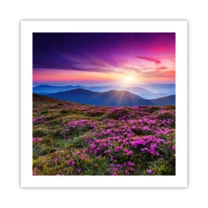 Poster - Smells Strongly of Herbs - 50x50 cm