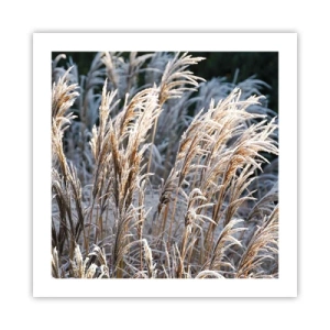 Poster - Decorated with Frost - 50x50 cm