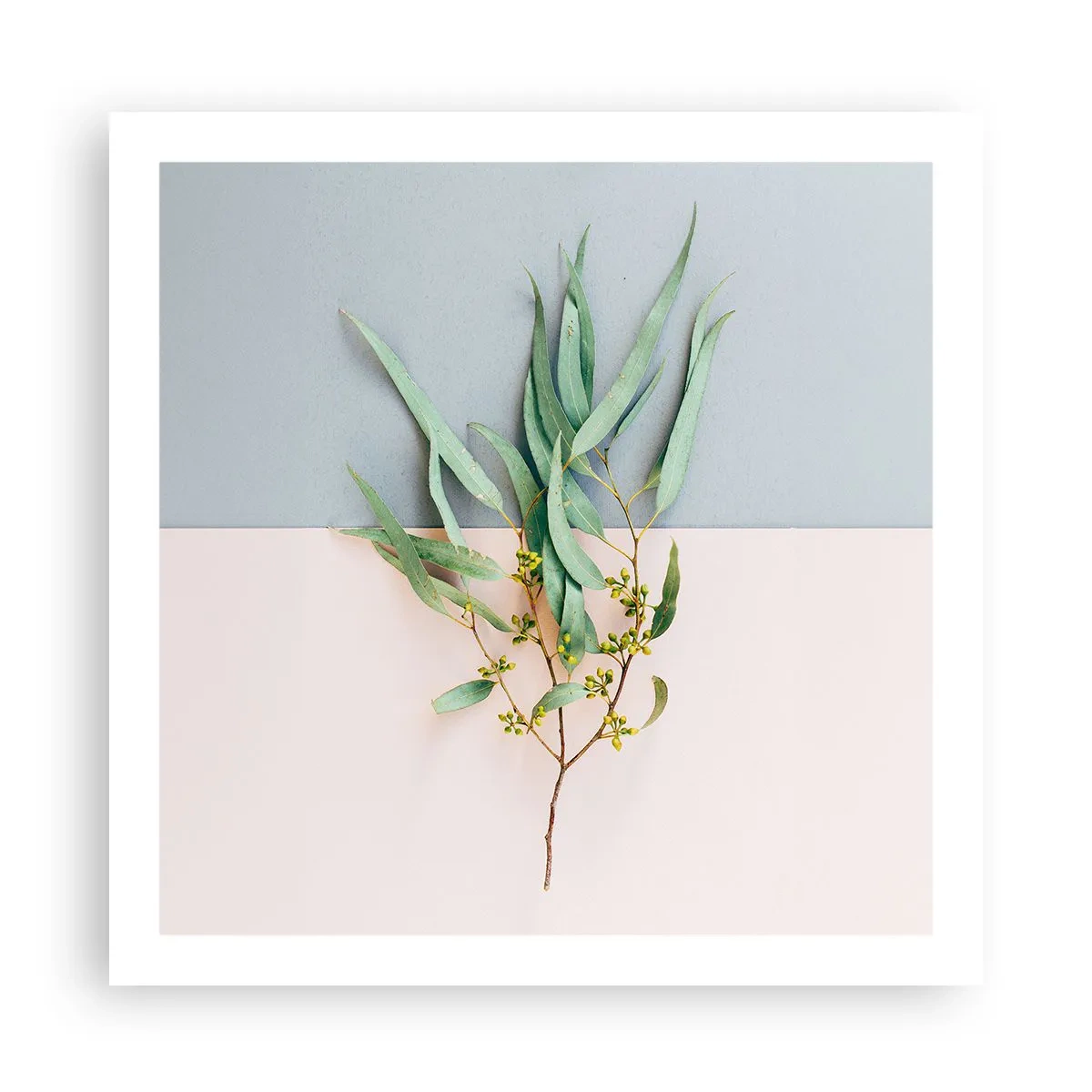 Poster - Pastel Subtlety - 60x60 cm