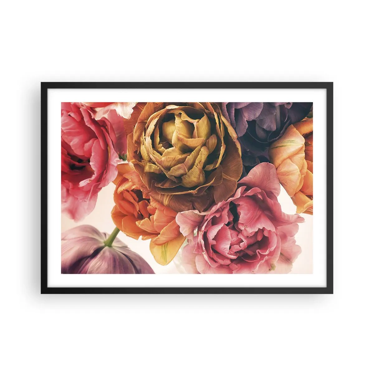 Poster in black frame - Celebration of Life - 70x50 cm