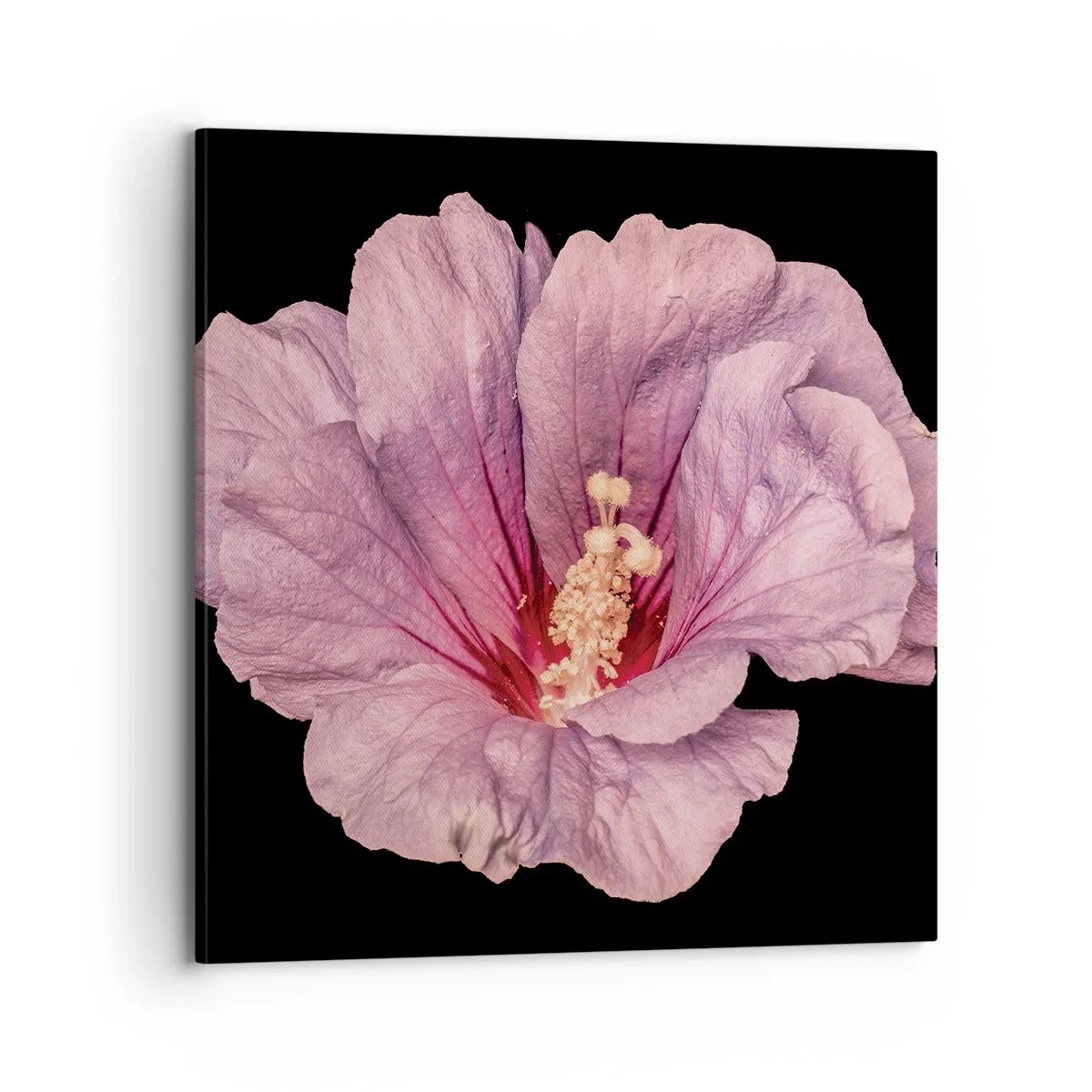 Canvas picture - Straight from the Heart - 70x70 cm