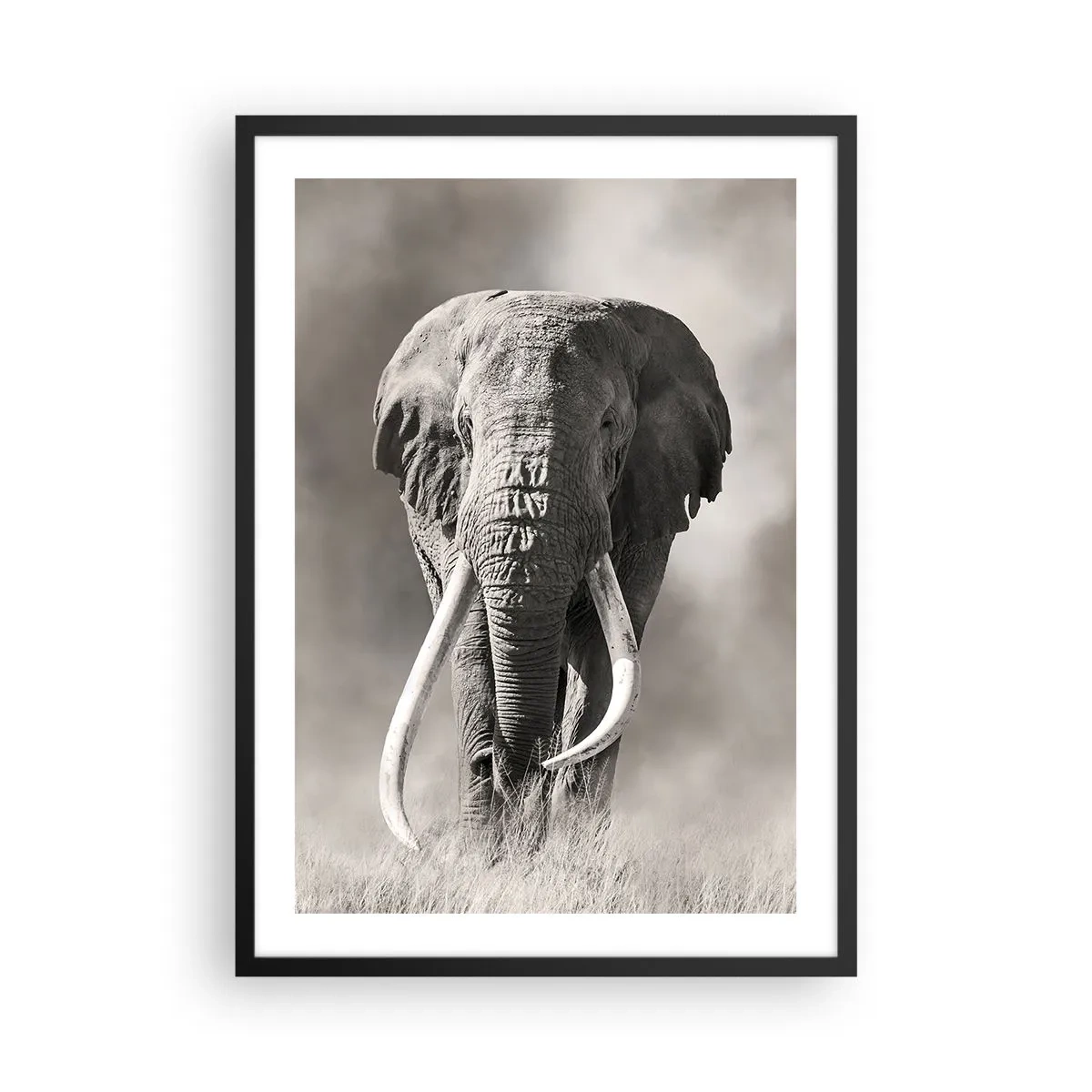 Poster in black frame - Monochrome portrait of a majestic elephant - 50x70cm - African Patriarch - Modern wall decoration for the living room and bedroom ARTTOR
