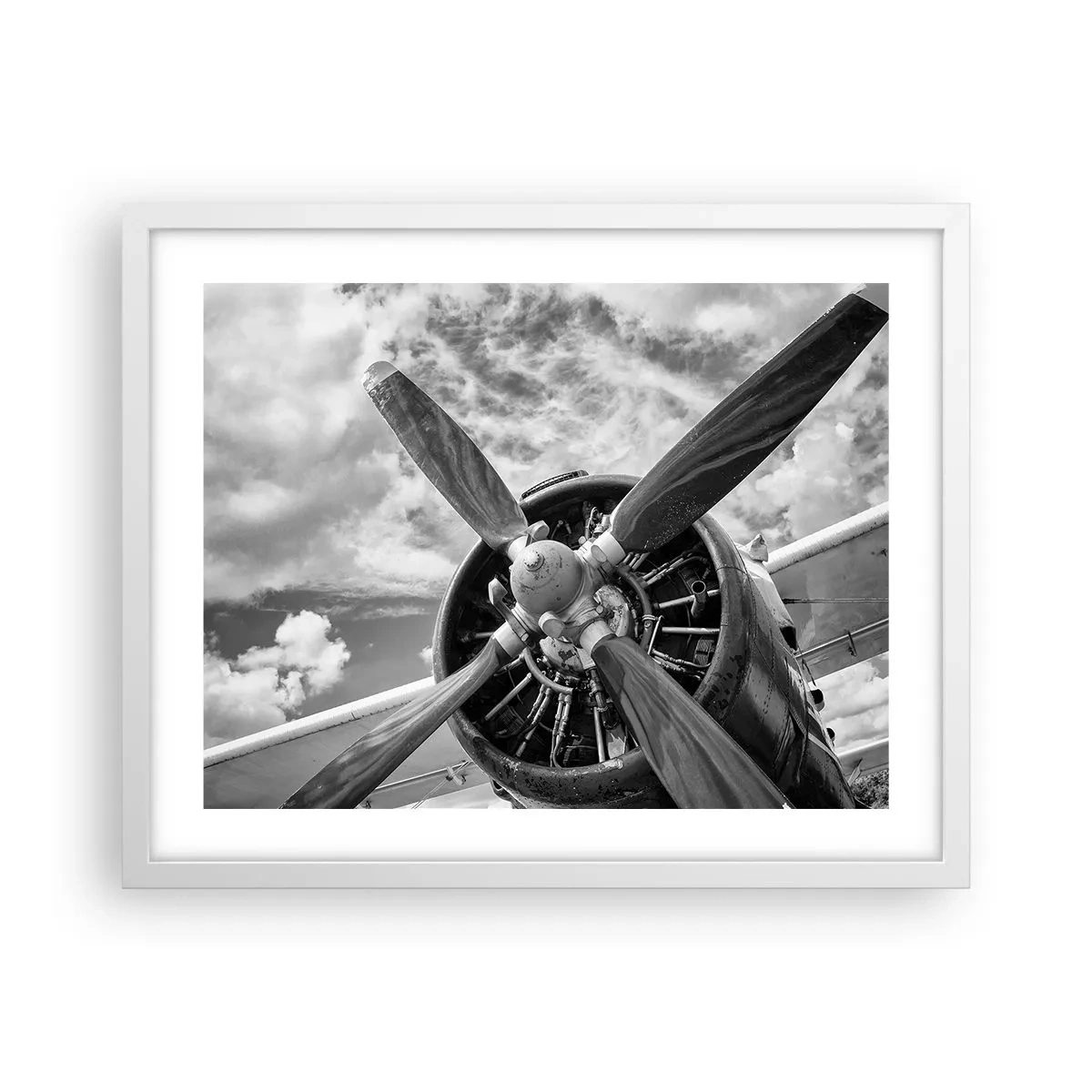 Poster in white frmae - Conquerer of the Skies - 50x40 cm