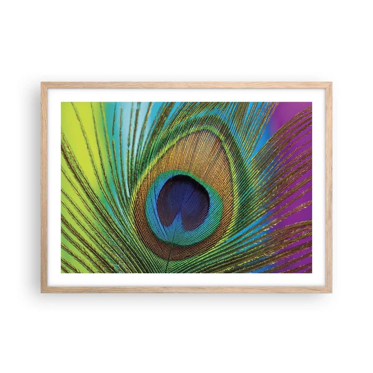 Poster in light oak frame - Eye to Eye - 70x50 cm