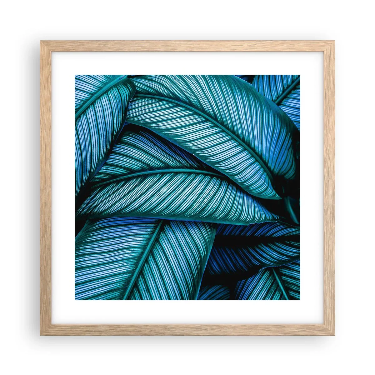Poster in light oak frame - Lifelines - 40x40 cm