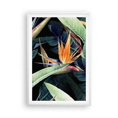 Poster in white frmae - Flaming Flowers of the Tropics - 61x91 cm