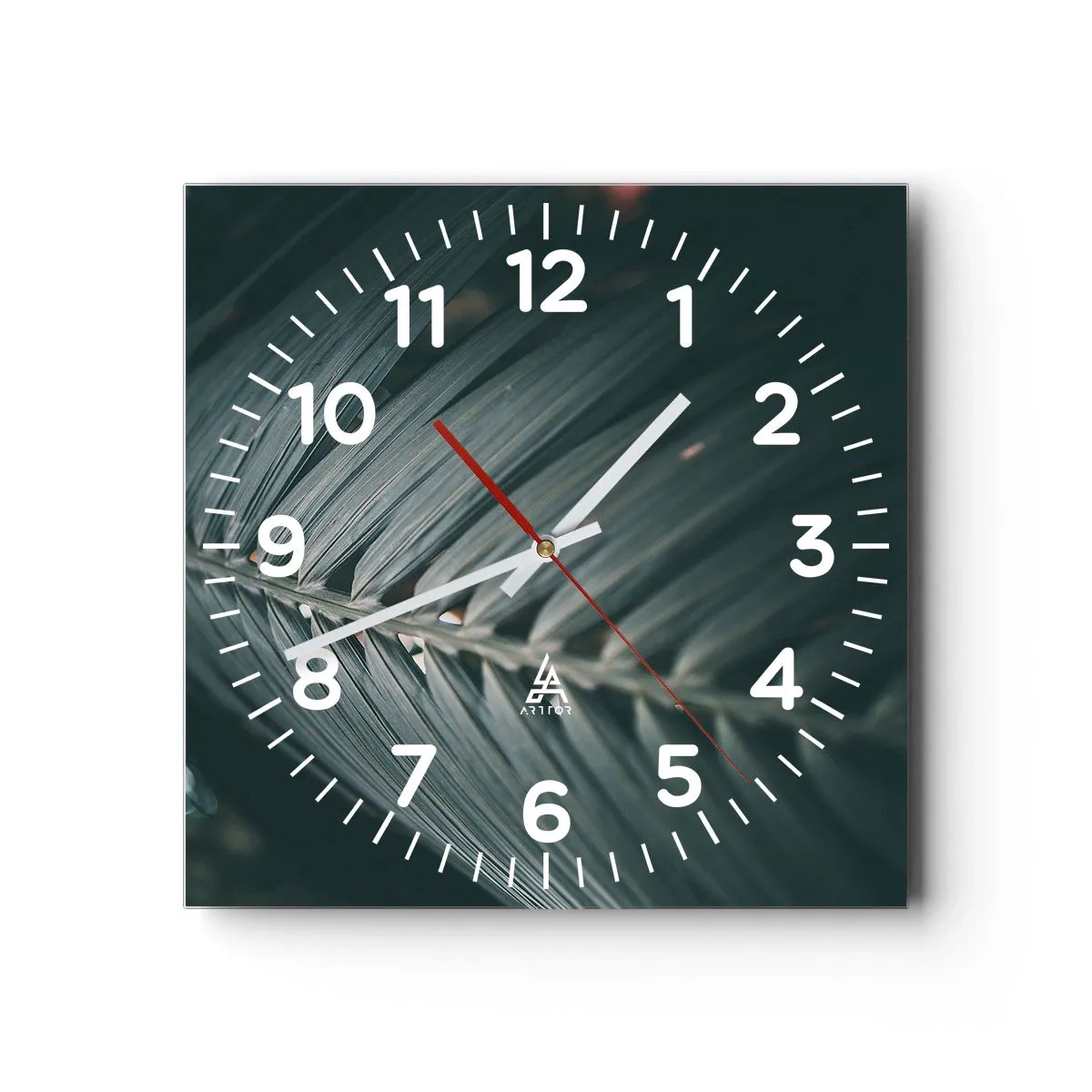 Wall clock - Clock on glass - Precision of Nature - 40x40 cm