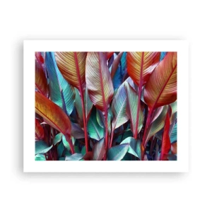 Poster - Colourful Thicket - 50x40 cm