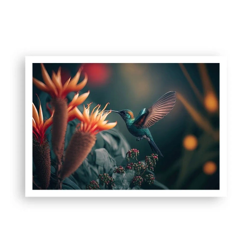 Poster - Really Colourful Life - 100x70 cm