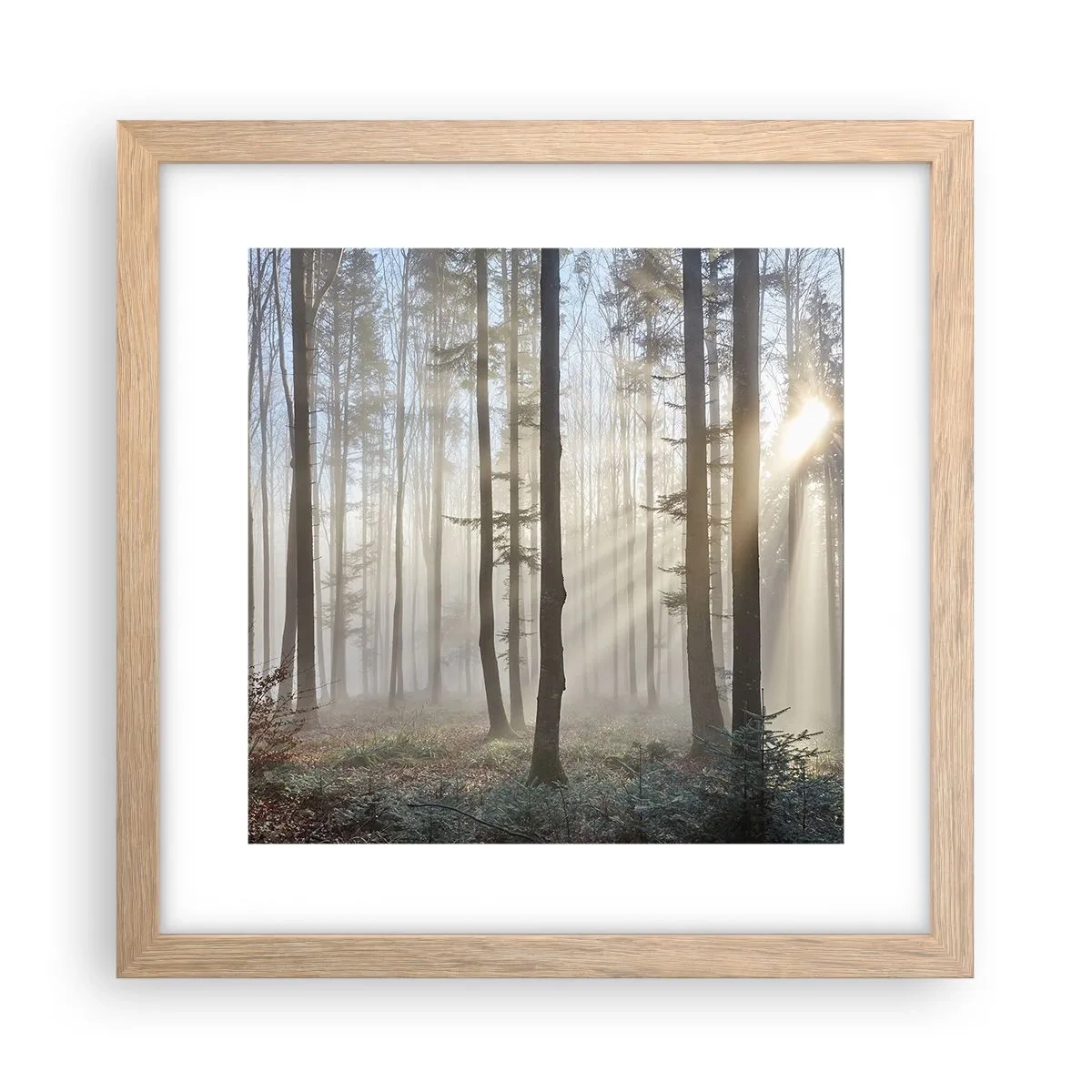 Poster in light oak frame - Fog Has Woken up Too - 30x30 cm