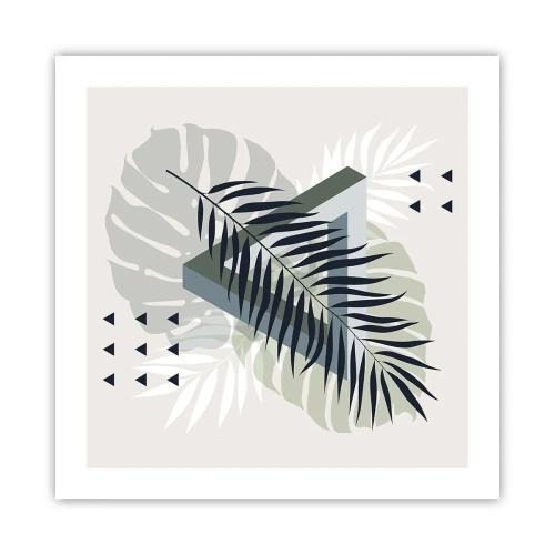 Poster - Nature and Geometry - Two Orders? - 50x50 cm