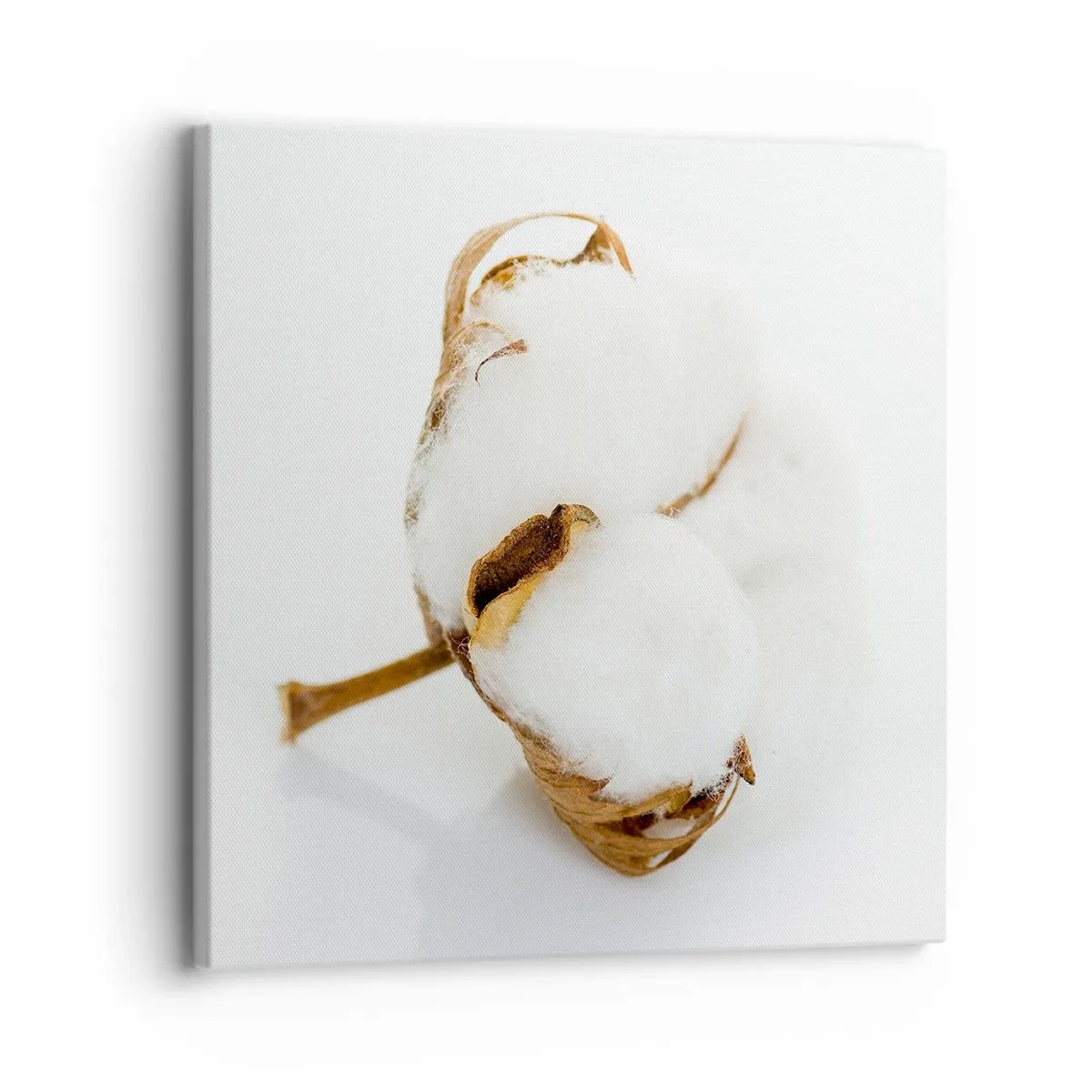 Canvas picture - Soft By Nature - 30x30 cm