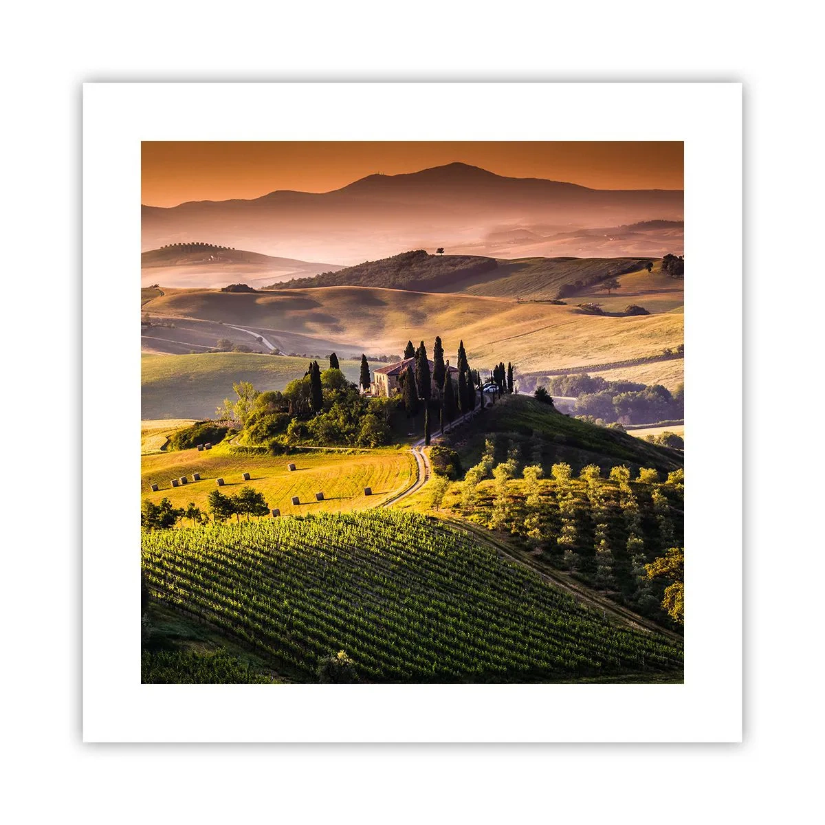 Poster - Arcadia - Tuscan Landscape - 40x40 cm
