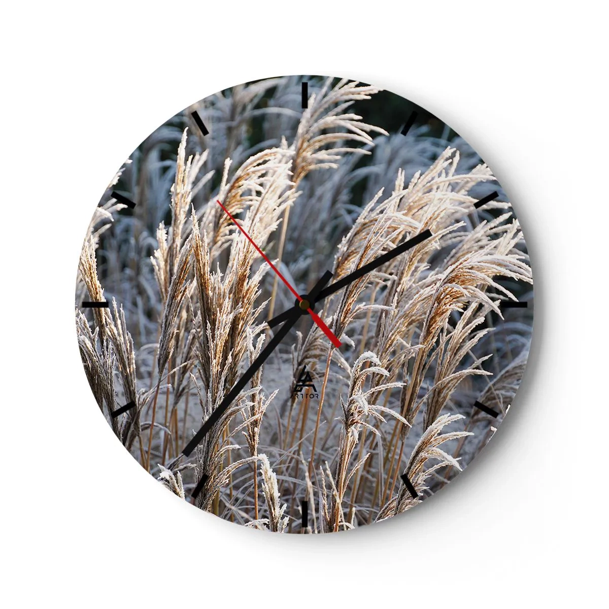 Wall clock - Clock on glass - Golden grasses covered with frost in a winter landscape - 30x30cm - Decorated with Frost - Modern wall decoration for the living room, kitchen, and bedroom ARTTOR