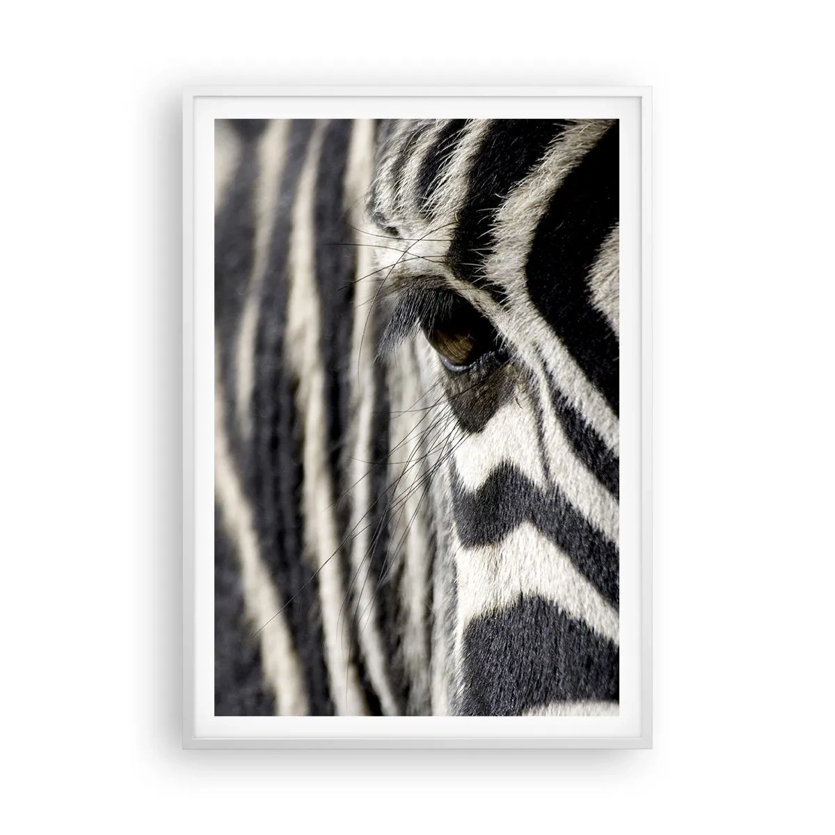 Poster in white frmae - Striped Portrait - 70x100 cm
