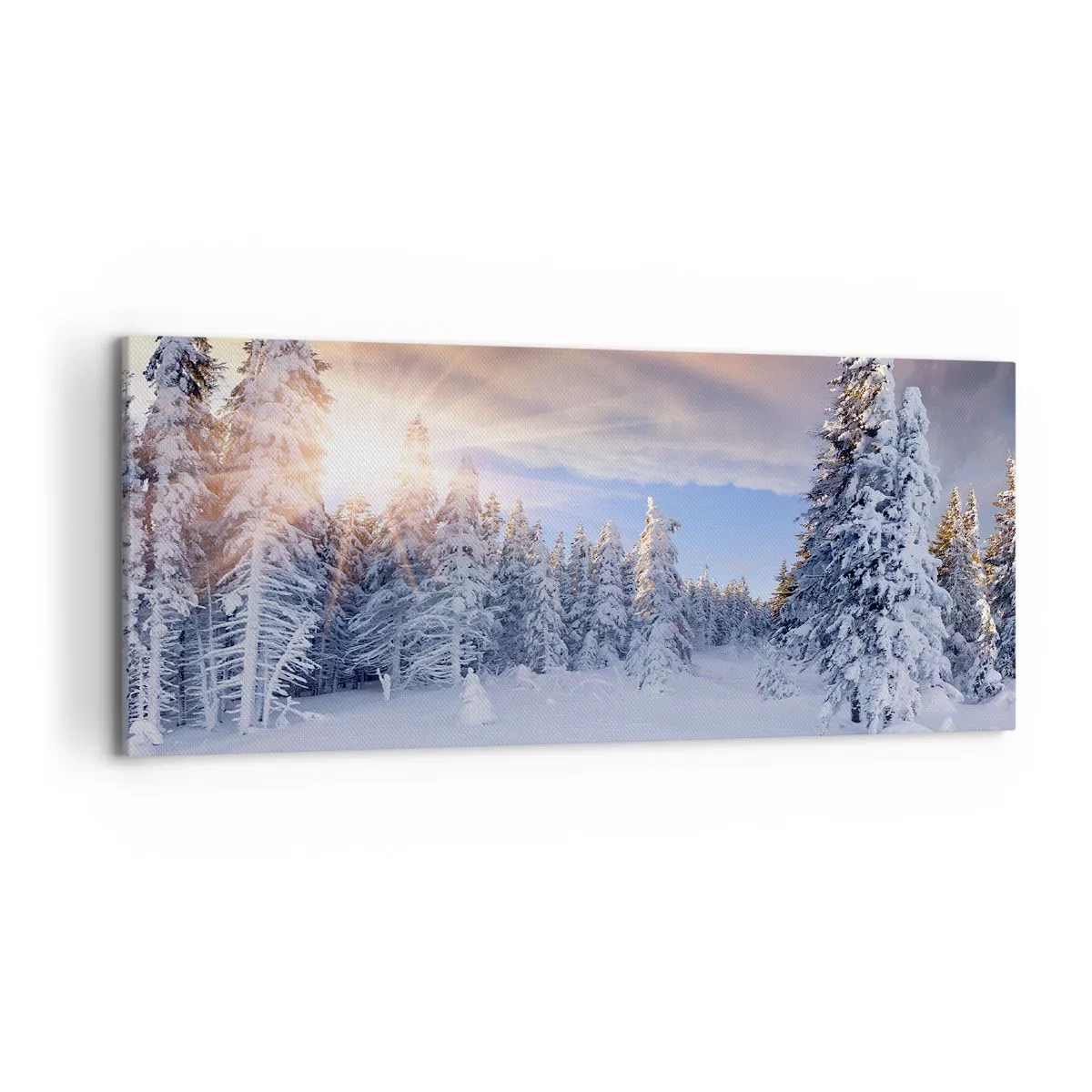 Canvas picture - Snowy Spectacle of Nature - 120x50 cm