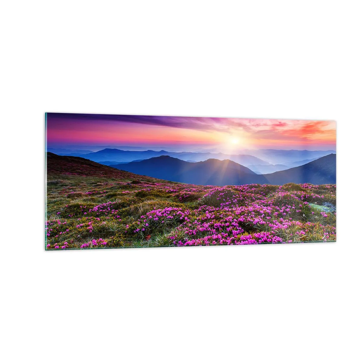 Glass picture - Smells Strongly of Herbs - 100x40 cm