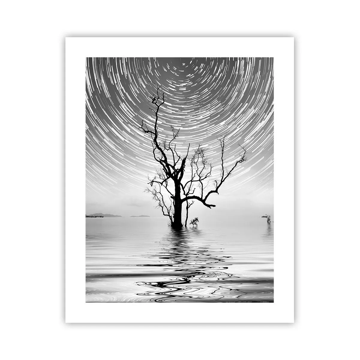 Poster - Symphony of Nature - 40x50 cm