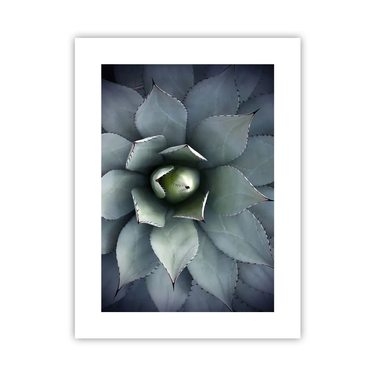 Poster - Attracts and Warns - 30x40 cm