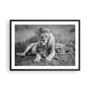 Poster in black frame - Royal Siesta - 70x50 cm
