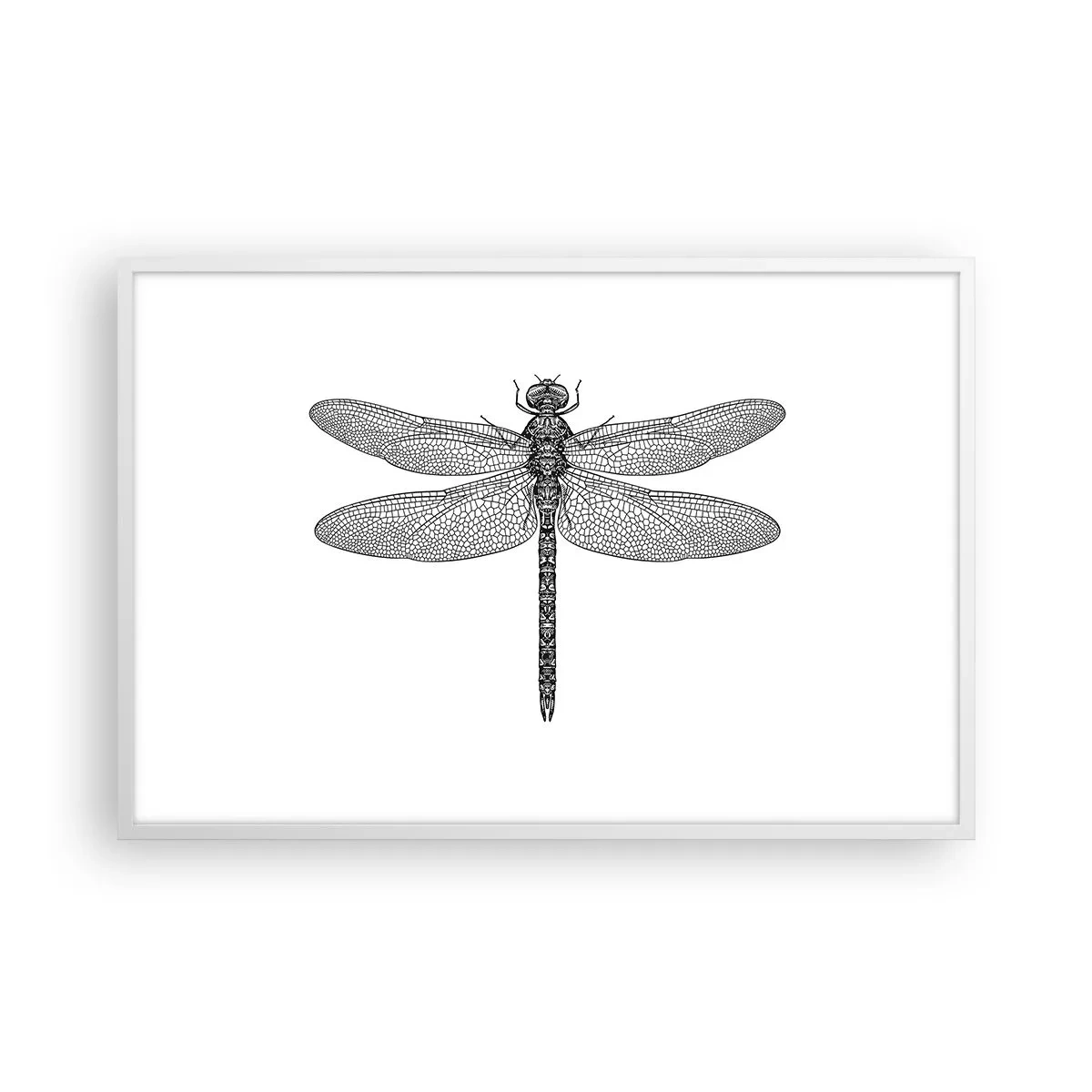 Poster in white frmae - Precision of Nature - 91x61 cm