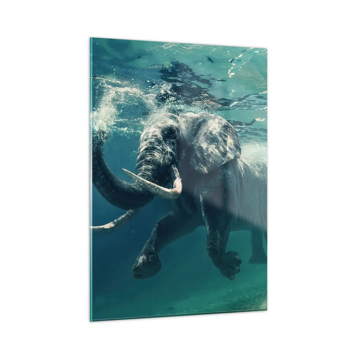 Glass picture - Everyone Likes to Swim - 50x70 cm
