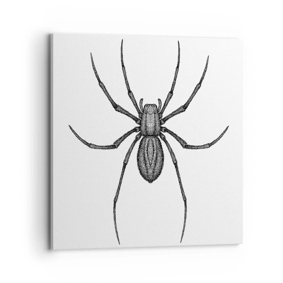 Canvas picture - Disturbing Precision - 70x70 cm