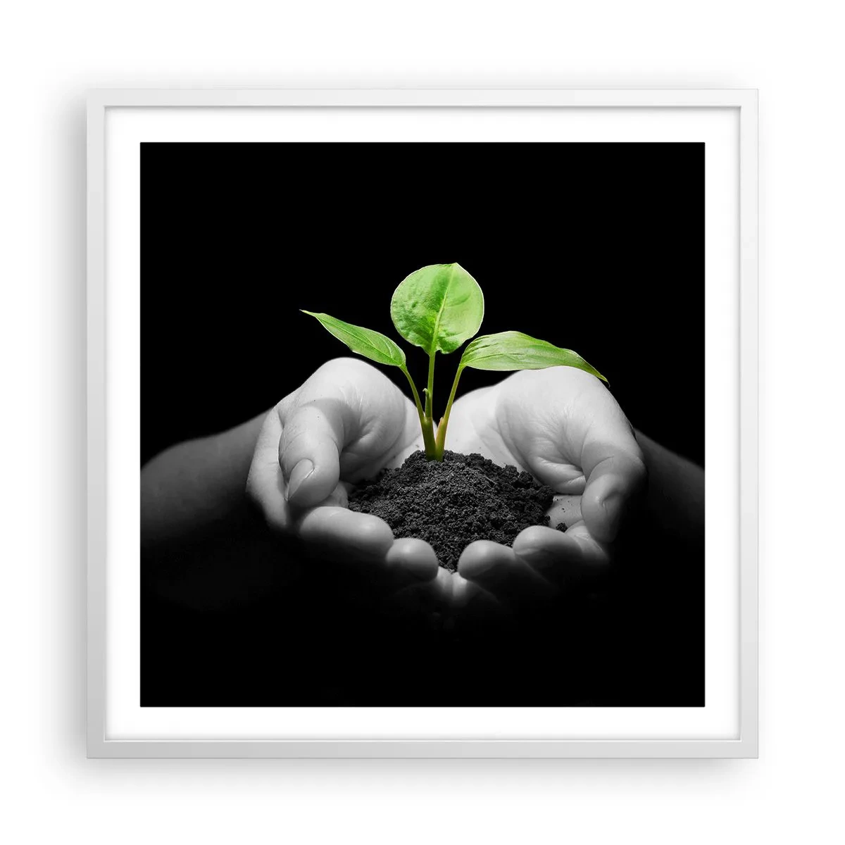 Poster in white frmae - I Love Nature, I Protect It - 60x60 cm