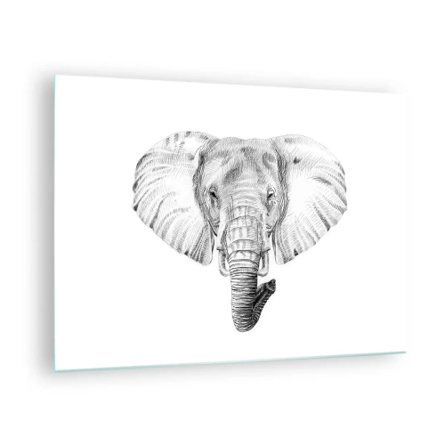 Glass picture - Black and white drawing of an elephant's head on a white background - 70x50cm - There Once Was an Elephnat - Modern wall decoration for the living room and bedroom ARTTOR