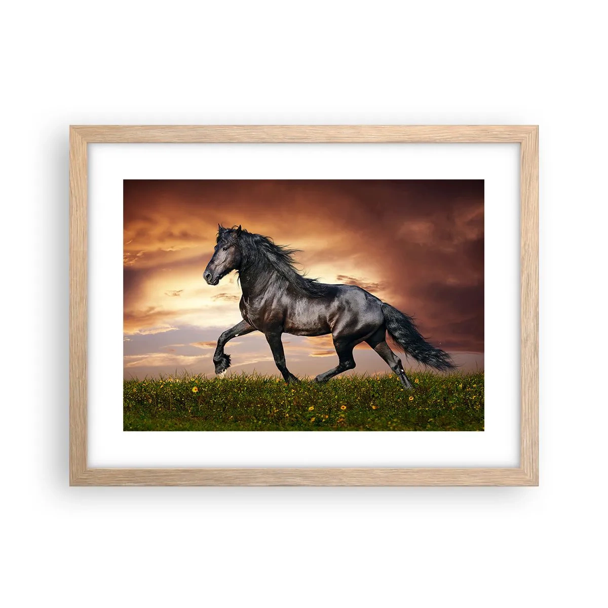 Poster in light oak frame - Black Prince - 40x30 cm