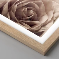 Light Oak