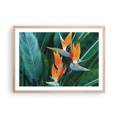 Poster in light oak frame - Is It a Flower or a Bird? - 70x50 cm