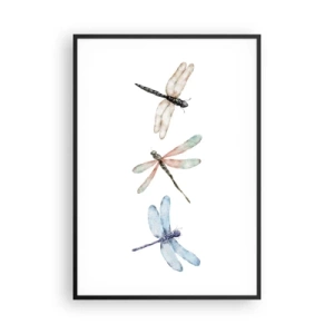 Poster in black frame - Lightness of Dragonflies  - 70x100 cm