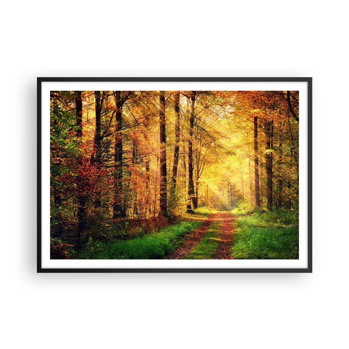 Poster in black frame - Forest Golden silence - 100x70 cm