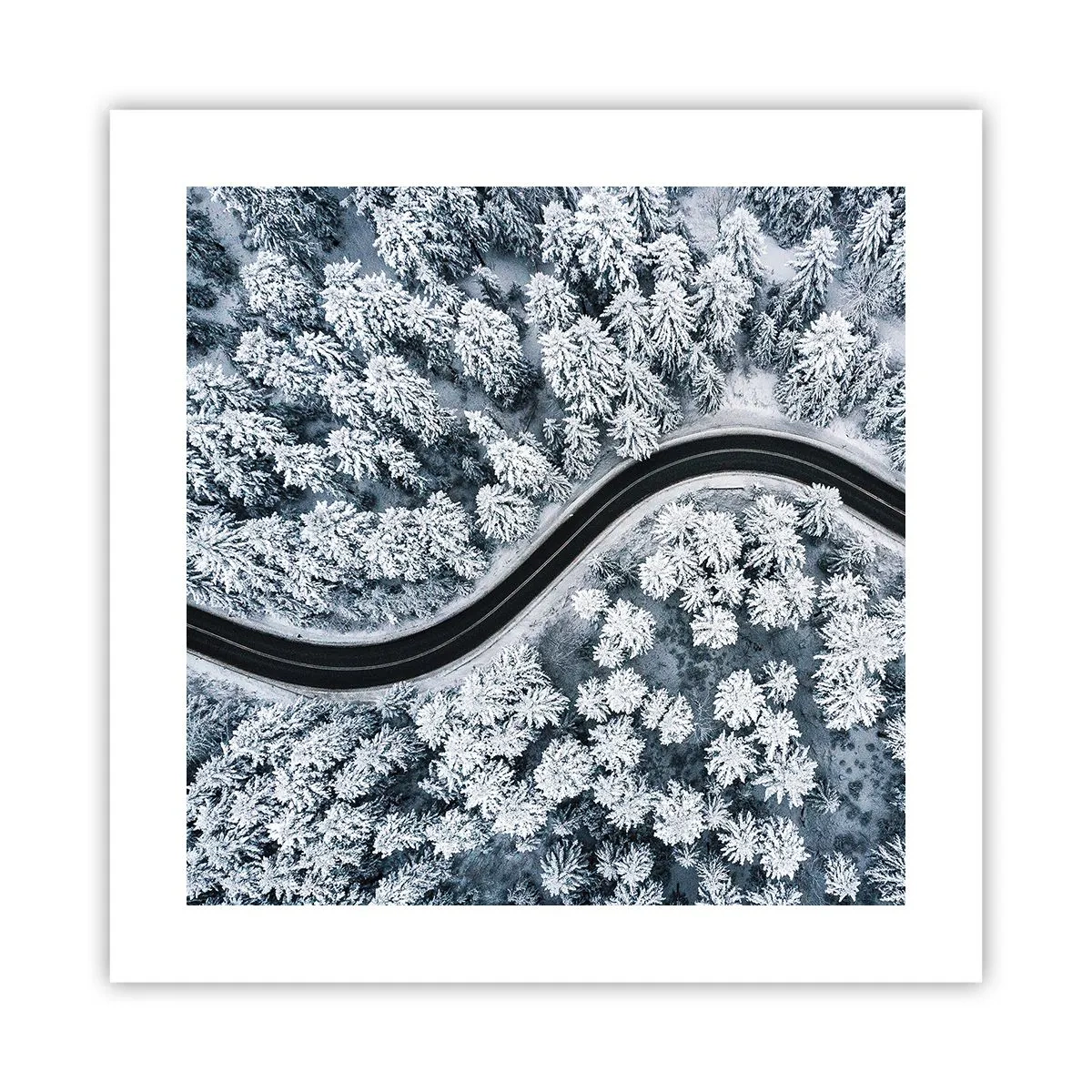 Poster - Through Wintery Forest - 40x40 cm