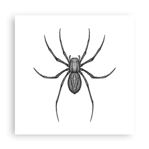 Poster - Disturbing Precision - 60x60 cm