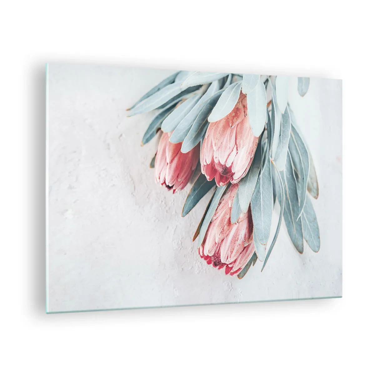 Glass picture - Three pastel protea flowers with leaves on a light background - 70x50cm - Ashamed of Their Own Beauty - Modern wall decoration for the living room and bedroom ARTTOR