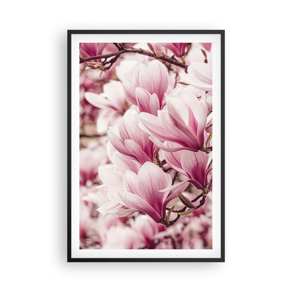 Poster in black frame - Spring is Pink - 61x91 cm