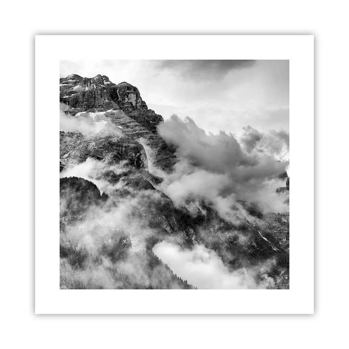 Poster - Beautiful and Cruel - 40x40 cm